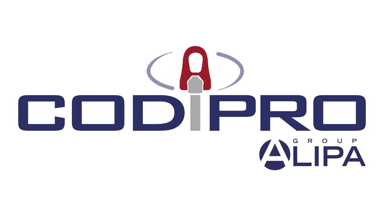 Codipro logo